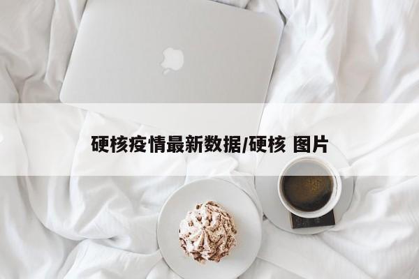 硬核疫情最新数据/硬核 图片