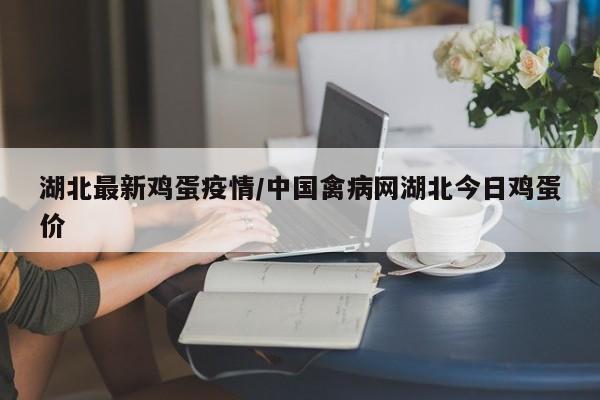 湖北最新鸡蛋疫情/中国禽病网湖北今日鸡蛋价